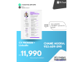 cv-profissional-e-moderno-para-cadidaturas-small-1