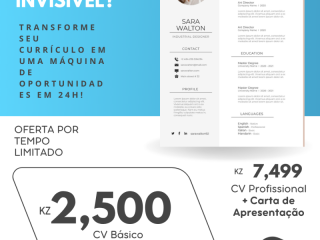 cv-profissional-e-moderno-para-cadidaturas
